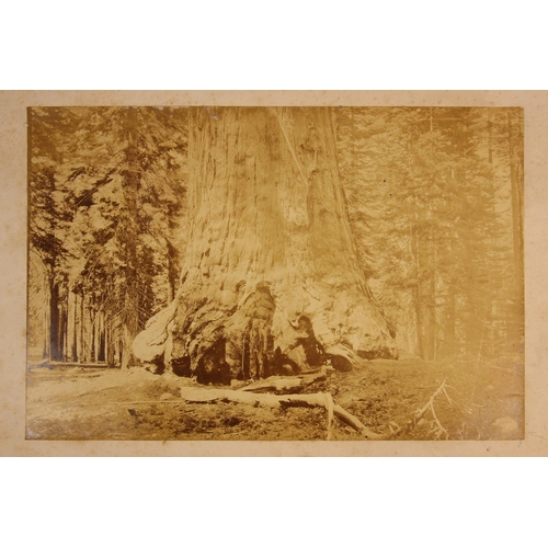 176 - George Fiske (American, 1835-1918), an albumen print of a high waterfall in the Yosemite Valley, tit... 