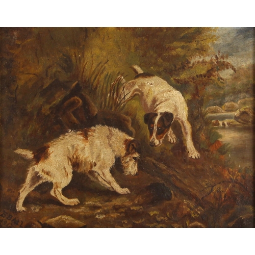 309 - E. Ball (British, early 20th century),  
Terriers ratting, a study in the manner of George Armfield,... 