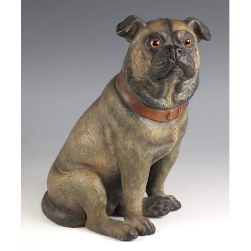 242 - A cold painted pottery figure of a pug, late 19th/early 20th century, modelled seated, with orange c... 