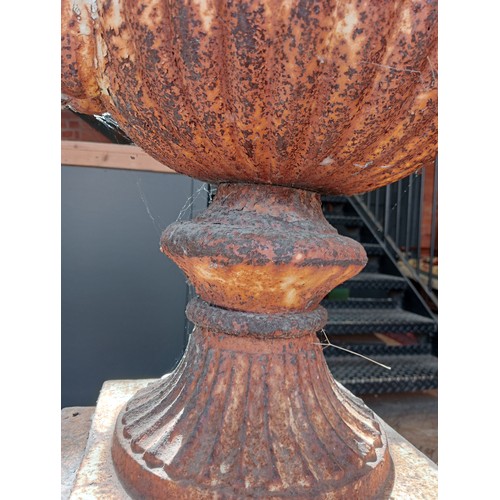 1109 - A pair of Victorian style cast iron urns on stands, the urns of campana form, each 62cm high, the re... 