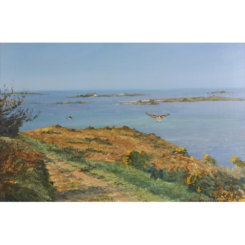 166 - John Alan Hamilton (British, 1919–1993),  
Birds of prey over a Scilly Isles cliff top,  
Oil on boa... 