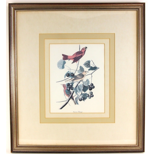 193 - Seven ornithological prints reproduced from John James Audubon's BIRDS OF AMERICA, comprising: Flori... 