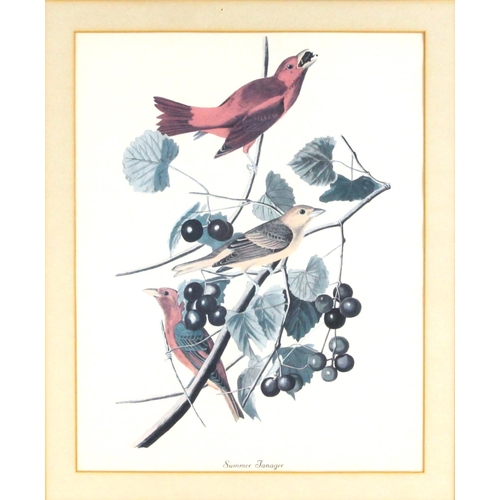 193 - Seven ornithological prints reproduced from John James Audubon's BIRDS OF AMERICA, comprising: Flori... 