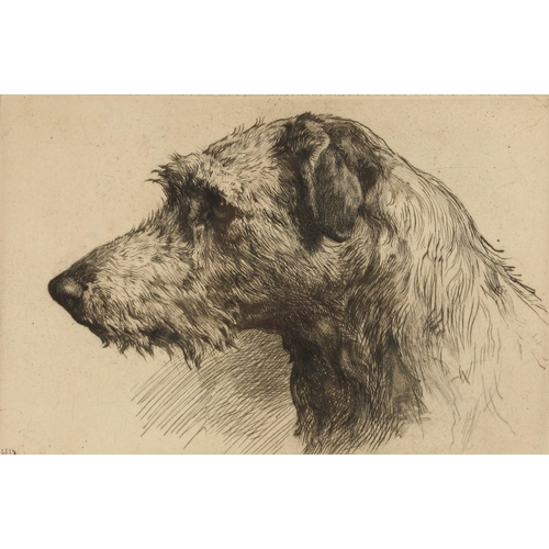 194 - Herbert Thomas Dicksee RE (British, 1862-1942),  
‘A Scottish Deerhound’,  
Drypoint etching on pape... 