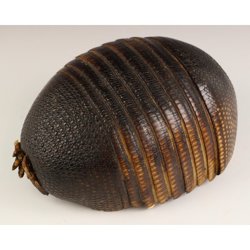 232 - A taxidermy armadillo shell, 20th century, modelled as a basket with the head and tail forming the h... 