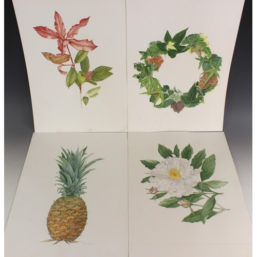 183 - Kathleen Moyra Bellis (British, late 20th and early 21st century),  
Sixteen botanical studies of fl... 