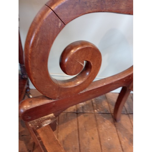 462 - A pair of William IV mahogany library/carver chairs, each with a concave top rail and scrolled termi... 