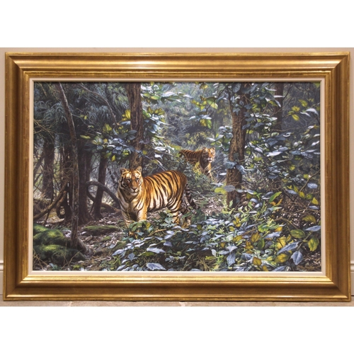 397 - Paul Augustinus (Danish b.1952),  
'Bandhavgarth Evening', a tiger in a landscape,    
Oil on canvas... 