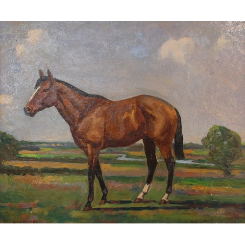 405 - Geoffrey Mortimer (British, 1895-1986),  
Portrait of a horse,  
Oil on board,  
Signed lower left, ... 