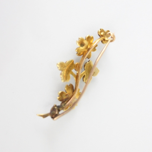 223 - A late 19th/early 20th century yellow metal seed pearl spray brooch, the four flower head designed s... 