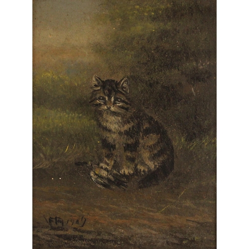 395 - English school (early 20th century),  
A study of a seated tabby cat,  
Oil on board,  
Indistinctly... 