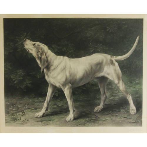 492 - Rosa Bonheur (French, 1822-1899),  
A hound against foliage,  
Aquatint on paper, published by L H L... 