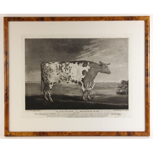 500 - After George Cuitt (British, 1779–1854),  
'To Sir Ralph Milbanke Bart, This print of the Kelton Ox ... 