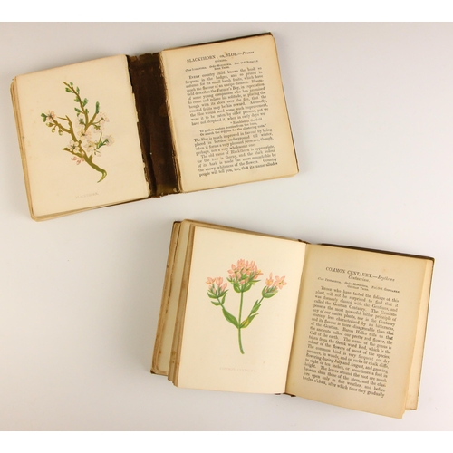 392 - Pratt (Anne), WILD FLOWERS, 2 vols, embossed illustrated cloth boards, ninety six colour plates thro... 