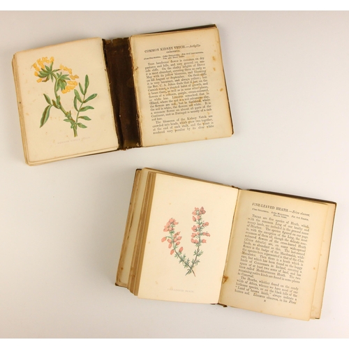 392 - Pratt (Anne), WILD FLOWERS, 2 vols, embossed illustrated cloth boards, ninety six colour plates thro... 