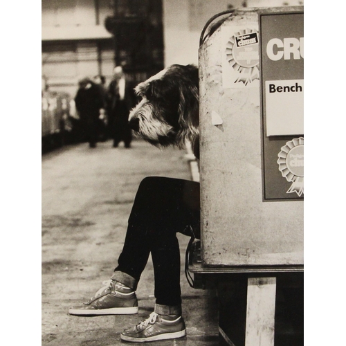 541 - Michael Ward (1929-2011) 
'Crufts pedigree championships - London - 1987 - No.1'  
Photograph,  
Sig... 