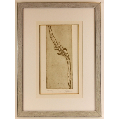 40 - John W. Mills (1933-2023),   
'Flying 1 1/2' 
Etching,  
No.3/50,   
Signed,   
39cm x 22cm,  
Frame... 