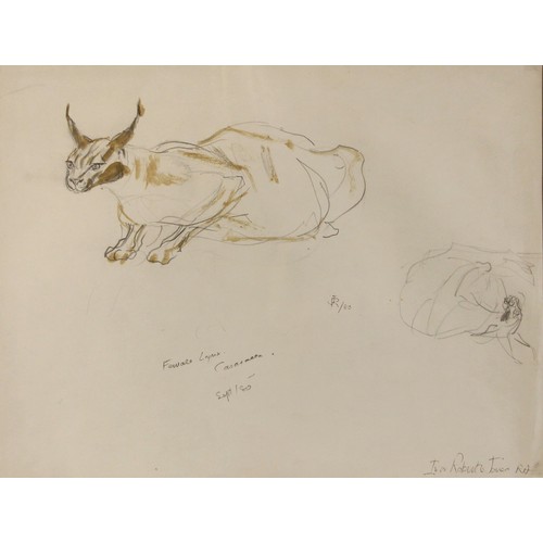 528 - Ivor Roberts-Jones RA (1913-1996)  
'Study of female lynx and caracel'  
Pencil on paper,  
Signed, ... 