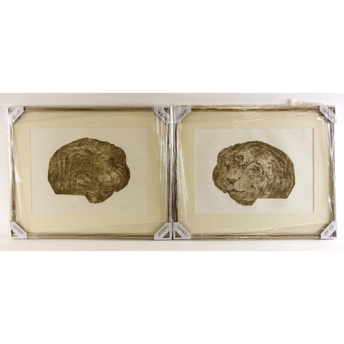 482 - John W. Mills (1933-2023),  
Four lion etchings,  
'Benign lion medal', 'Lion', 'Benign lion' and 'l... 