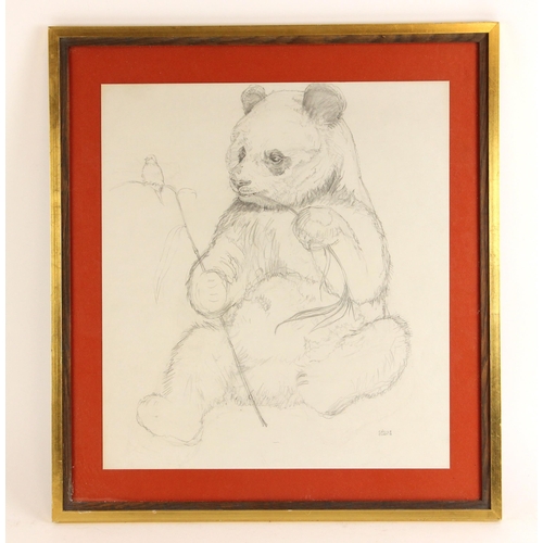 493 - Cecile Curtis (British, contemporary),  
Portrait of a seated panda,  
Pencil on paper,  
Signed low... 