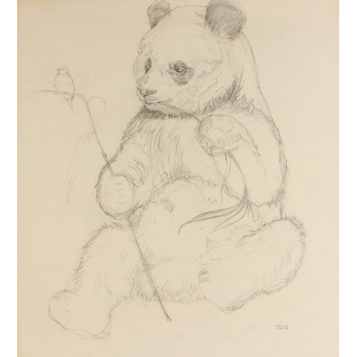 493 - Cecile Curtis (British, contemporary),  
Portrait of a seated panda,  
Pencil on paper,  
Signed low... 