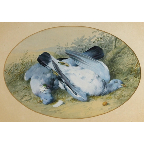 498 - William Cruickshank (British, 1848-1922),  
A pair of still lives with dead pigeons,  
Watercolour o... 