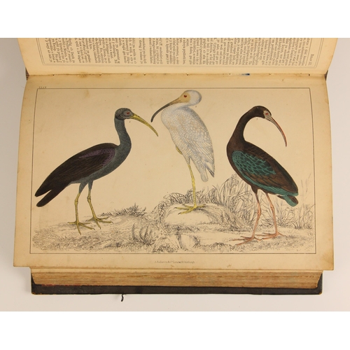 411 - Goldsmith (Oliver), HANES Y DDAEAR A'R CREADURIAID [History Of The Earth And Living Creatures], vol ... 