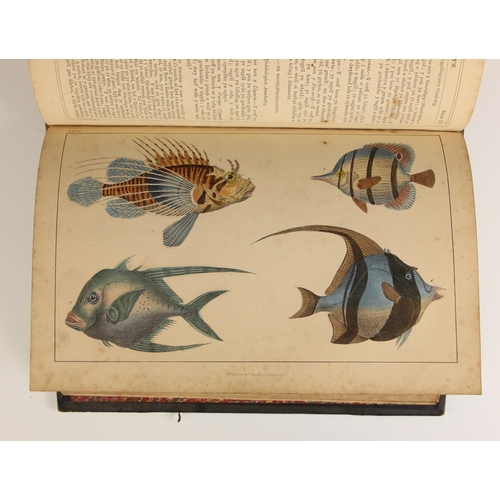 411 - Goldsmith (Oliver), HANES Y DDAEAR A'R CREADURIAID [History Of The Earth And Living Creatures], vol ... 