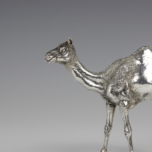 80 - A Patrick Mavros silver camel, modelled as a standing camel calf with realistically chased detail, s... 