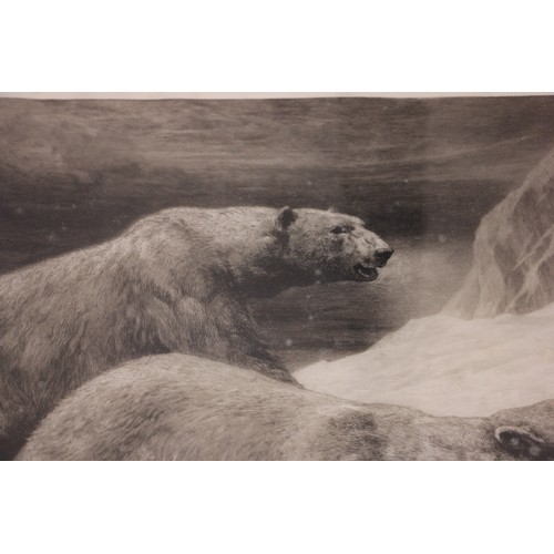 504 - Herbert Thomas Dicksee (British, 1862–1942),  
'In The Silent North', polar bears beside a broken sl... 