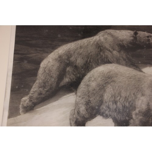 504 - Herbert Thomas Dicksee (British, 1862–1942),  
'In The Silent North', polar bears beside a broken sl... 