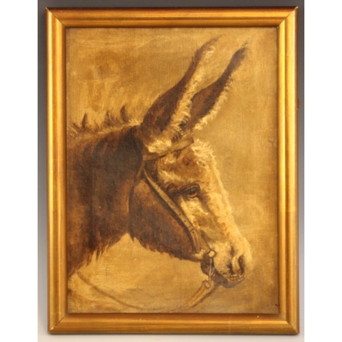289 - English school (early 20th century),  
A profile portrait of a donkey,  
Oil on canvas,  
Unsigned, ... 