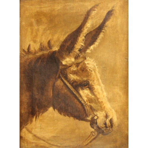 289 - English school (early 20th century),  
A profile portrait of a donkey,  
Oil on canvas,  
Unsigned, ... 