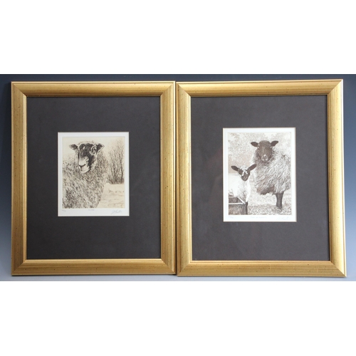 Lot 378       