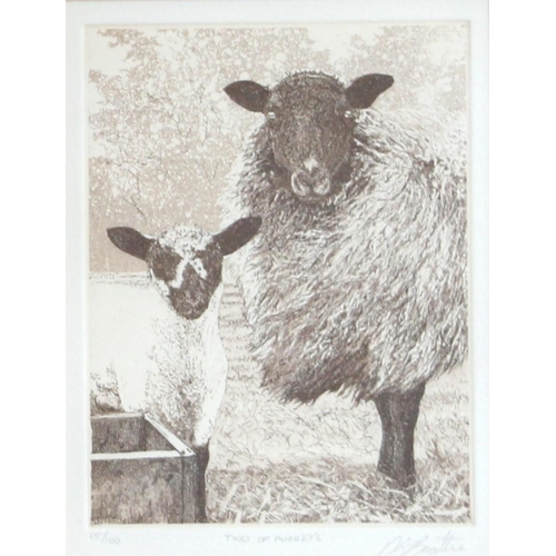 378 - David Beattie (British, b.1955),  
'Langar Fold' (73/150), 16.5cm x 12.5cm,  
'Langar Fold II' (68/1... 