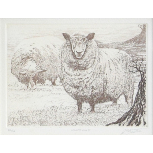 378 - David Beattie (British, b.1955),  
'Langar Fold' (73/150), 16.5cm x 12.5cm,  
'Langar Fold II' (68/1... 