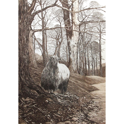 379 - David Beattie (British, b.1955),  
'The Oddmedodd',  
Limited edition print on paper,  
Signed, titl... 