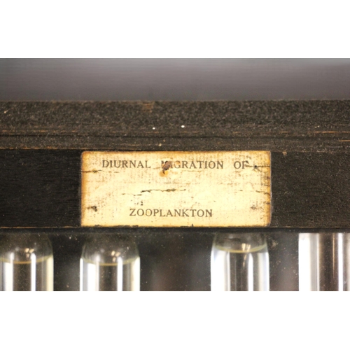 397 - A cased glazed display titled 'Diurnal Migration Of Sea Plankton', 20th century, formed of ten seale... 