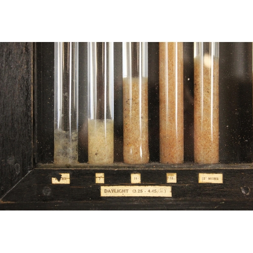 397 - A cased glazed display titled 'Diurnal Migration Of Sea Plankton', 20th century, formed of ten seale... 