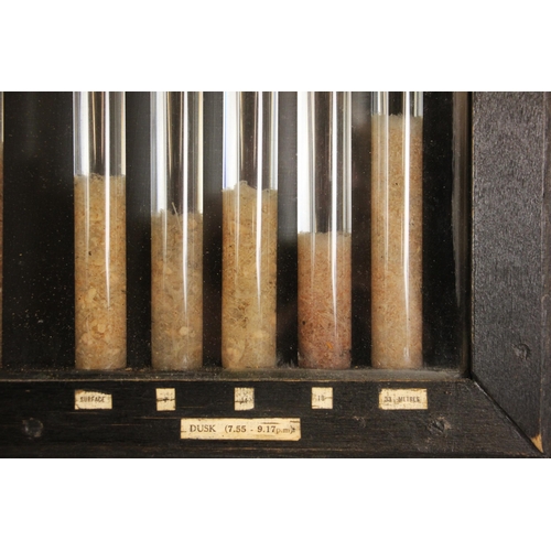 397 - A cased glazed display titled 'Diurnal Migration Of Sea Plankton', 20th century, formed of ten seale... 