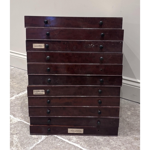 554 - Eleven Victorian mahogany drawers from a collectors specimen chest, each with turned ebonised handle... 