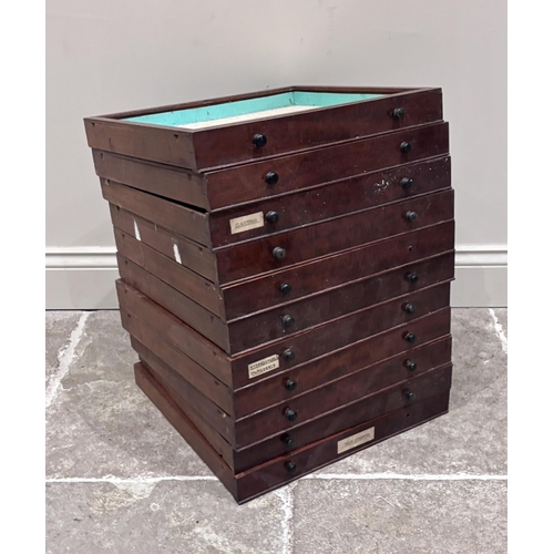 554 - Eleven Victorian mahogany drawers from a collectors specimen chest, each with turned ebonised handle... 