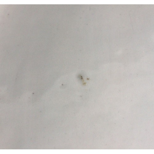 336 - A Chinese export porcelain blue and white 'leaf' dish, 18th century, the leaf shaped shallow dish ce... 