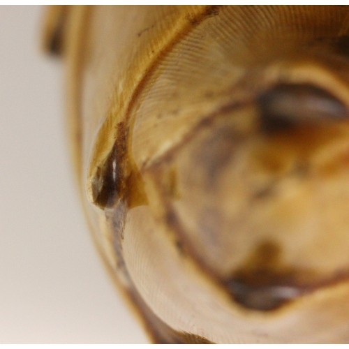 347 - A large Japanese porcelain model of two quail on a bamboo root, 19th century, each bird modelled per... 