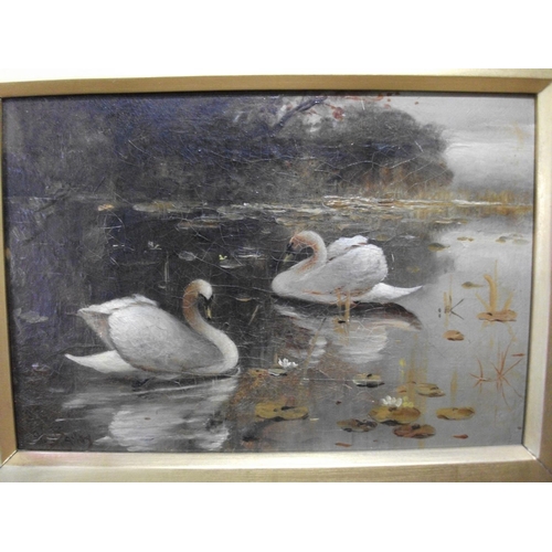 115 - FRAMED PAINTING OF SWANS SIGNED 17.5 X 14.5