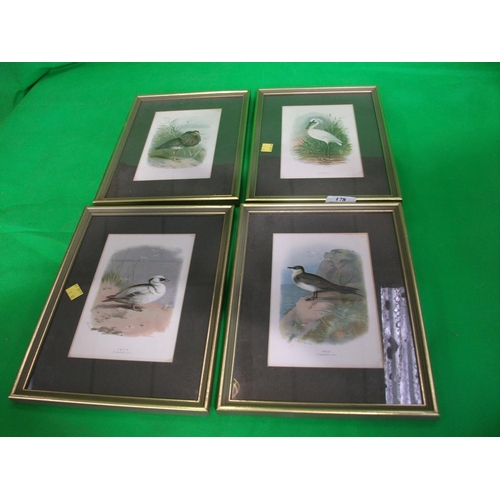 178 - FOUR FRAMED PRINTS OF WADING BIRDS BY A THONBURN