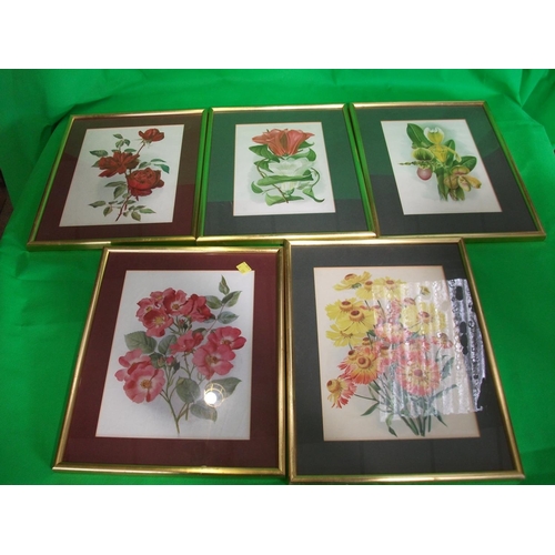 179 - TEN FRAMED PRINTS OF VARIOUS FLOWERS