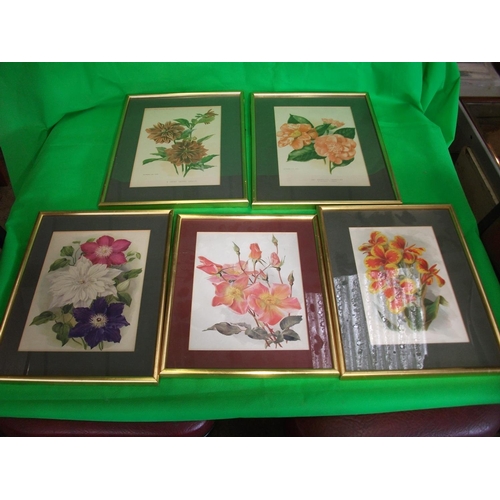 179 - TEN FRAMED PRINTS OF VARIOUS FLOWERS