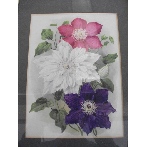 179 - TEN FRAMED PRINTS OF VARIOUS FLOWERS