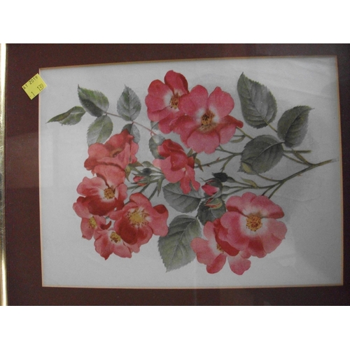 179 - TEN FRAMED PRINTS OF VARIOUS FLOWERS